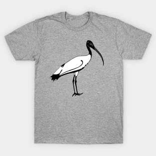 Ibis T-Shirt